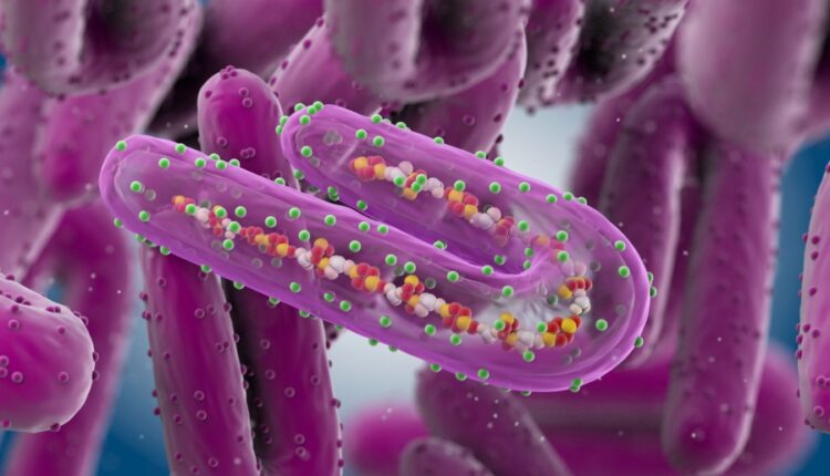 هل تساهم تكنولوجيا mRNA في إيجاد لقاح لفيروس ماربورغ؟.. إسلام عنان يجيب
