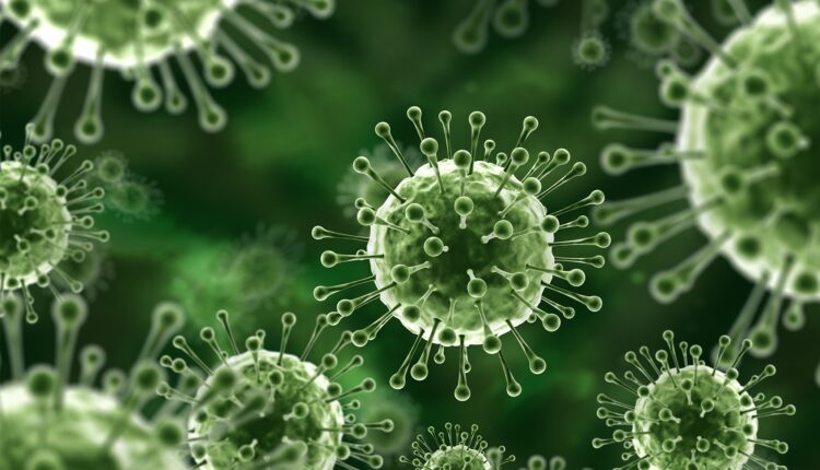 كل ما تريد معرفته عن فيروس نيباه؟