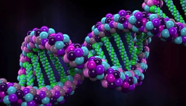 إسلام عنان يكشف أهمية علم الجينوم في معرفة تطور الأمراض والأوبئة