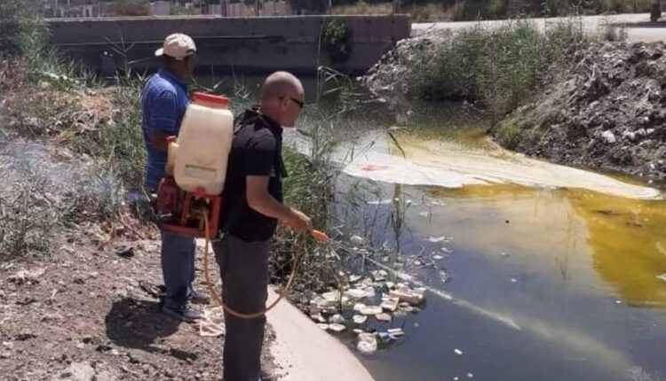 إسلام عنان يكشف أعراض وطرق الوقاية من المرض الغامض المنتشر في قنا